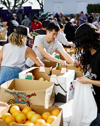 Boxes of produce and volunteers