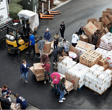 An photograph of lots of boxes of produce at spring harvest 2022