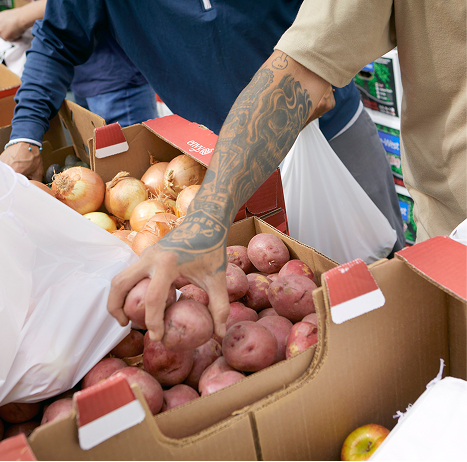 A photograph of a volunteer's arm grabbing produce