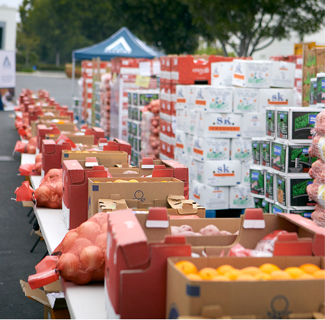 A photograph of boxes of fresh produce at spring harvest 2023