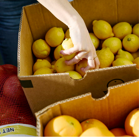 A close up photograph of produce