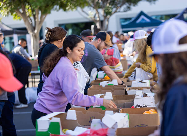 A volunteer assembling boxes of produce